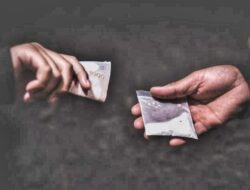 Polda Sumut Berhasil Tangkap 145 Pelaku Jaringan Narkoba Selama Sepekan