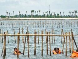 Bareskrim Periksa 44 Saksi Kasus Pagar Laut