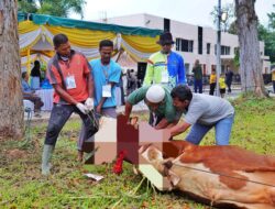 PT PIM Salurkan 28 Hewan Qurban ke Desa di Kawasan Perusahaan