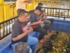 Tak Lengkap Rasanya ke Simeulue Jika Tidak ke Makam Tgk Khalilullah