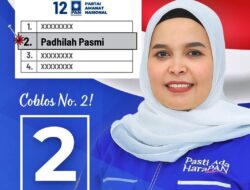 PAW Anggota DPRK Aceh Singkil dari PAN Diproses, Padhilah Pasmi Berpeluang Gantikan Harian