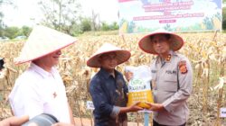 Kapolda Aceh Serahkan Bibit Jagung untuk Petani Aceh Singkil, Perkuat Ketahanan Pangan Nasional