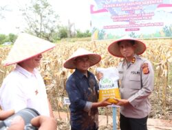 Kapolda Aceh Serahkan Bibit Jagung untuk Petani Aceh Singkil, Perkuat Ketahanan Pangan Nasional