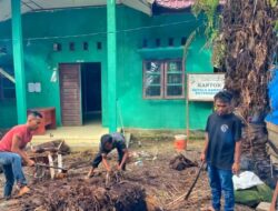 Masuk Musim Penghujan, Pemdes Ketangkuhan Bersihkan Lingkungan
