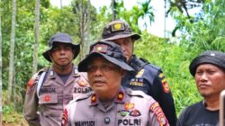 Polres Lhokseumawe Buru Dua Pemilik Ladang Ganja, Identitas Pelaku Sudah Dikantongi