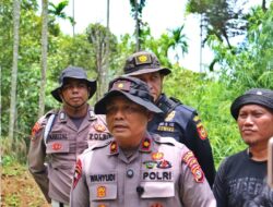Polres Lhokseumawe Buru Dua Pemilik Ladang Ganja, Identitas Pelaku Sudah Dikantongi
