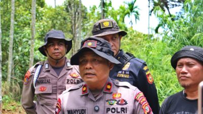 Polres Lhokseumawe Buru Dua Pemilik Ladang Ganja, Identitas Pelaku Sudah Dikantongi